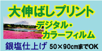 �ʐ^�v�����g